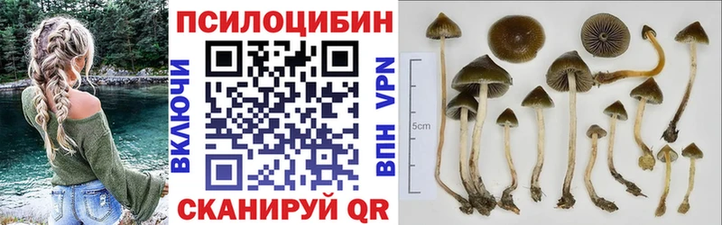 Псилоцибиновые грибы Magic Shrooms  гидра ссылки  Белая Холуница 